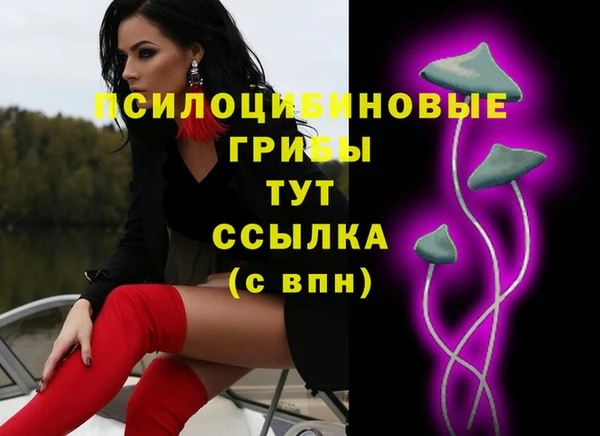 кокс Аркадак