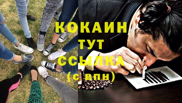 амф Алзамай