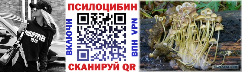 MEGA   купить наркоту  Льгов  Галлюциногенные грибы мухоморы 